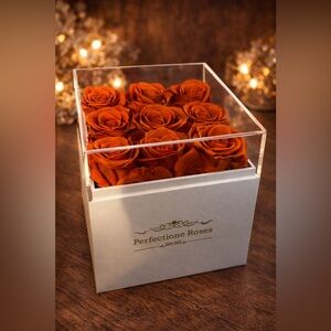 Perfectione Roses • Acrylic Display Box • 9 Preserved Red Orange Eternal Blooms